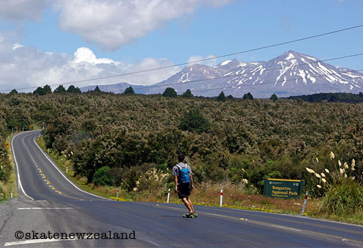 40sk8_skatenewzealand01.jpg