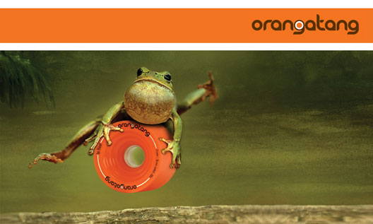 orangatang_01.jpg