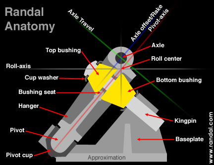 randalanatomybh.jpg